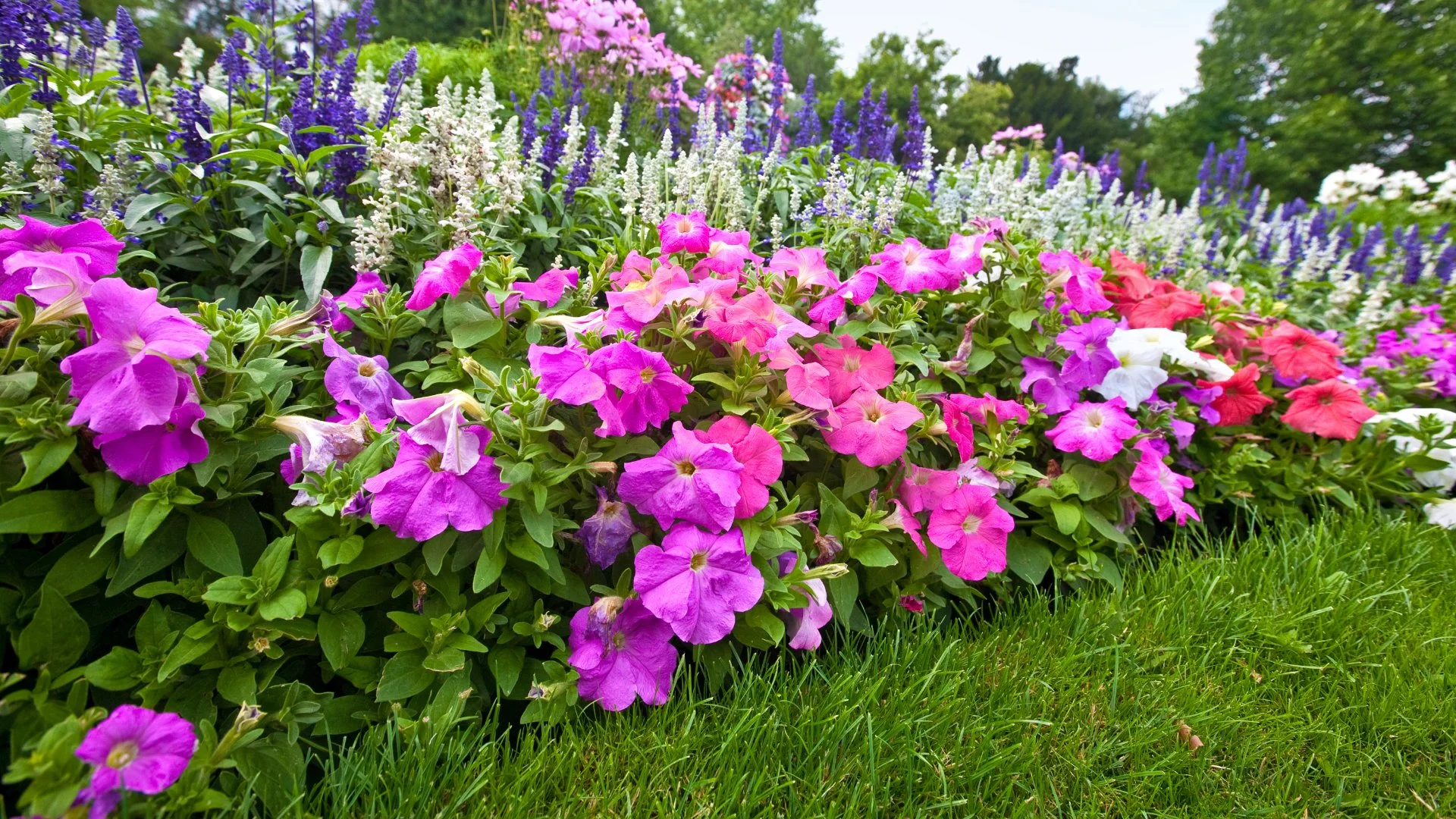 4 Things To Consider When Choosing Plants To Add to Your Landscape Beds