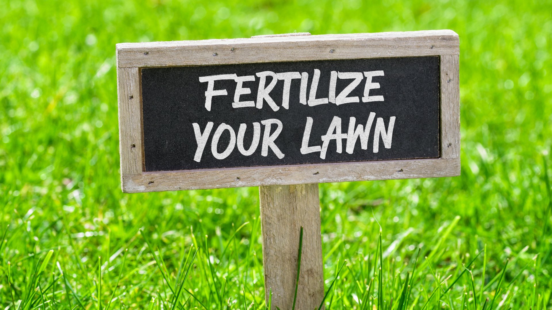 Granular vs Liquid Fertilizer - Which One Is Better for Your Lawn in Iowa?