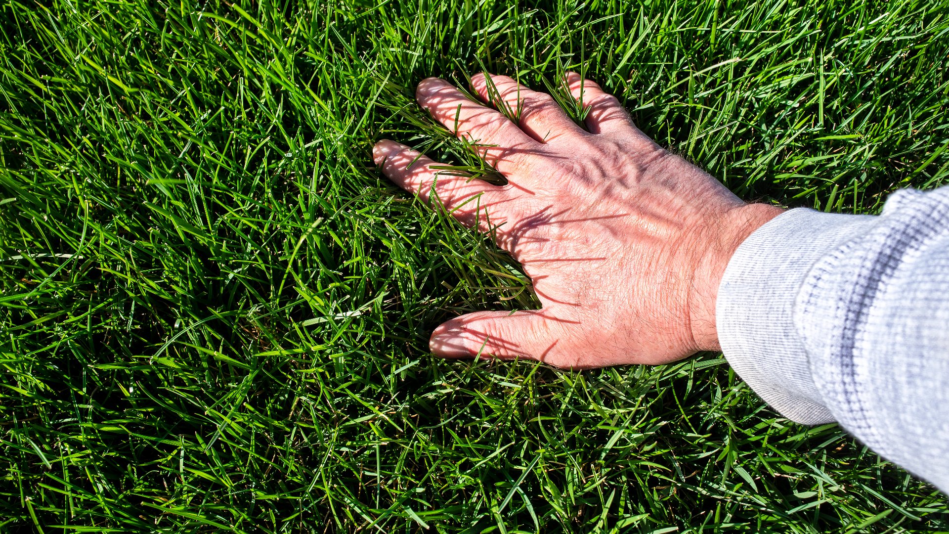 How Often Does Your Lawn in Iowa Need a Boost of Fertilizer?