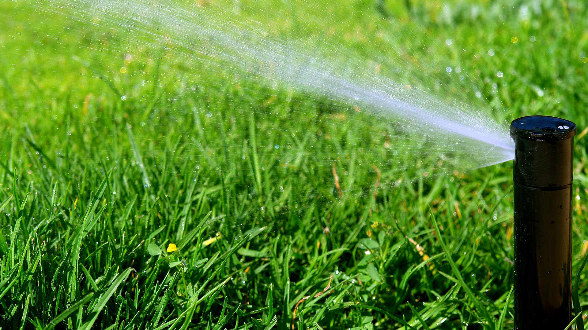 Irrigation sprinkler head watering lawn in Bondurant, IA.