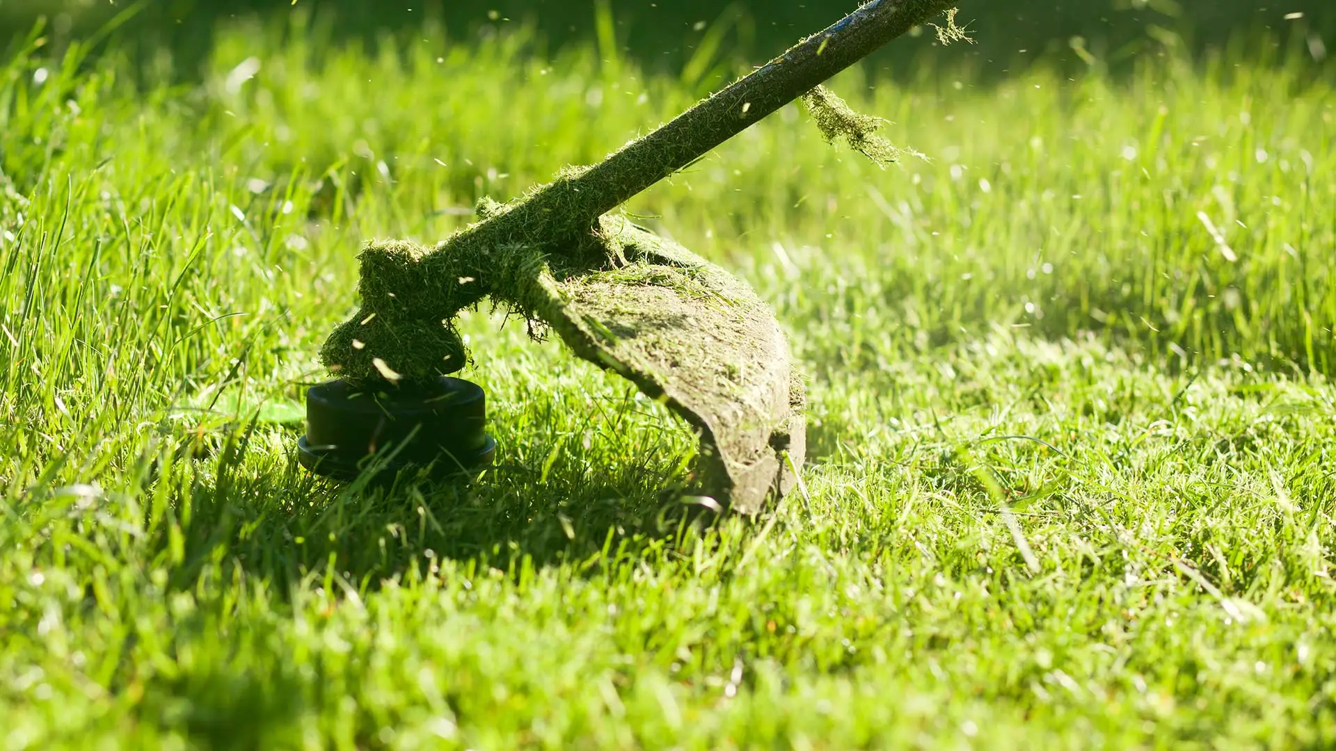 String-trimmer in lawn in Bondurant, IA.