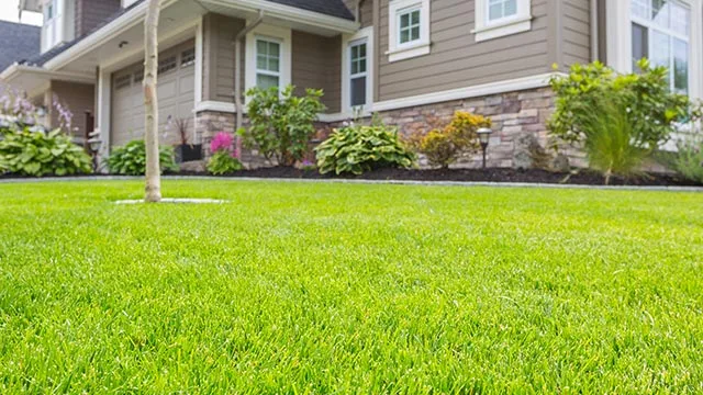 Healthy lawn in Bondurant, IA.