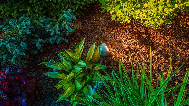 Landscape Lighting in Bondurant, IA.