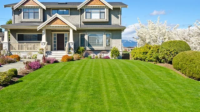 Mowed lawn in Bondurant, IA.