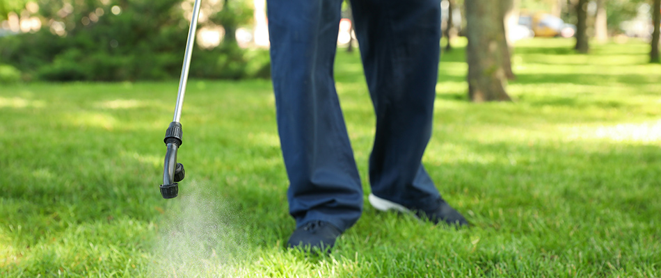 Lawn care professional spraying lawn in Bondurant, IA.
