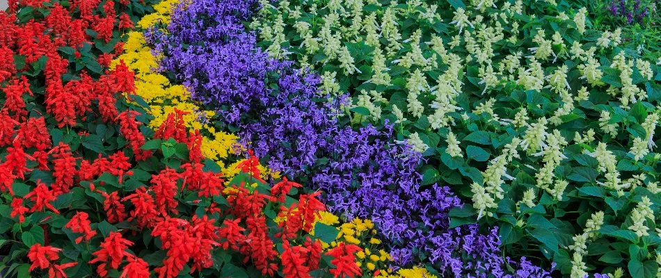 A flower bed of red, yellow, purple. and green flowers on a commercial property in Pleasant Hill, GA.
