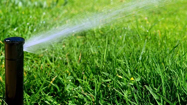 Sprinkler in lawn in Ankeny, IA.