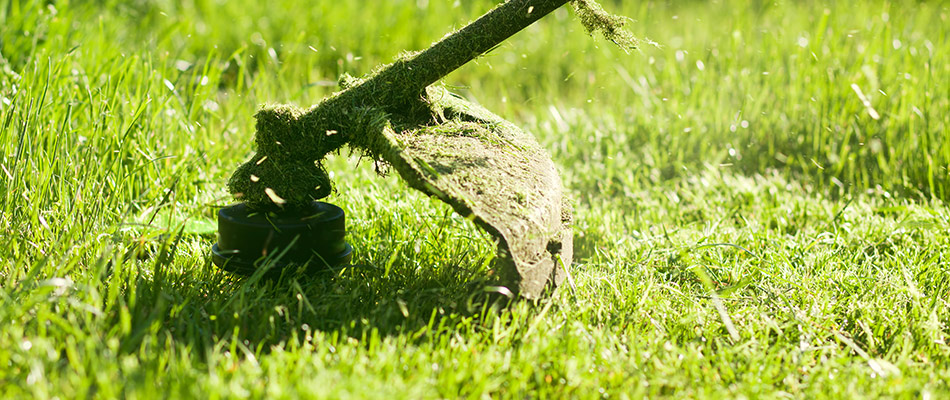 Lawn care technician string trimming lawn in Bondurant, IA.