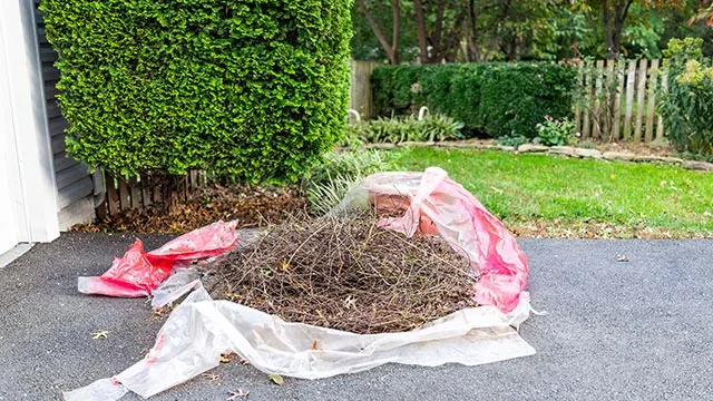 Yard Cleanup in Bondurant, IA.