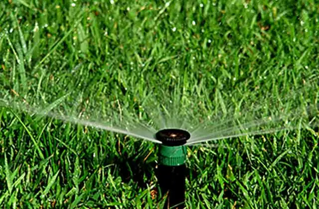 Irrigation services.