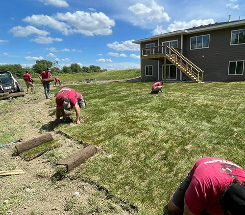 Sod installation.